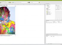 ErgoSoft RIP Version 15 JobComposer